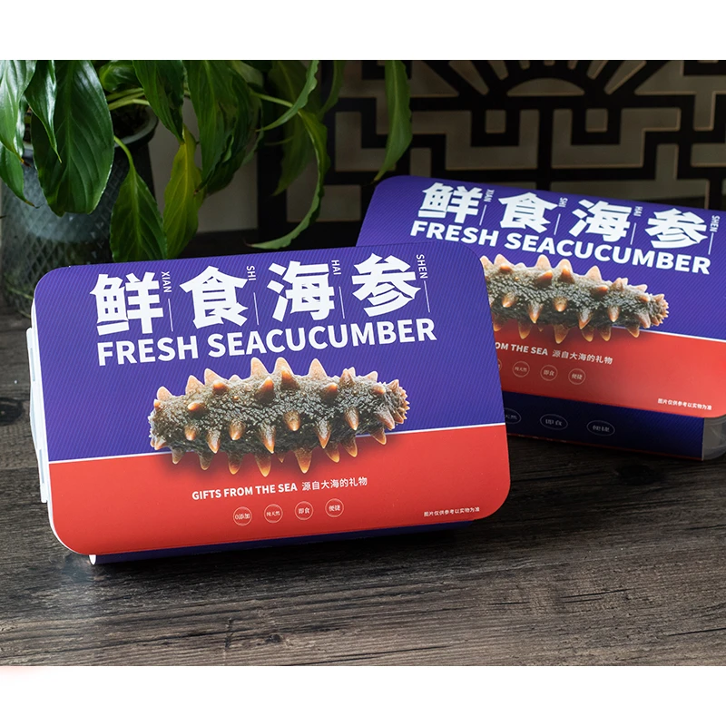 鲜食海参 大连辽参免泡发口感Q弹 450克一盒 冷冻保存