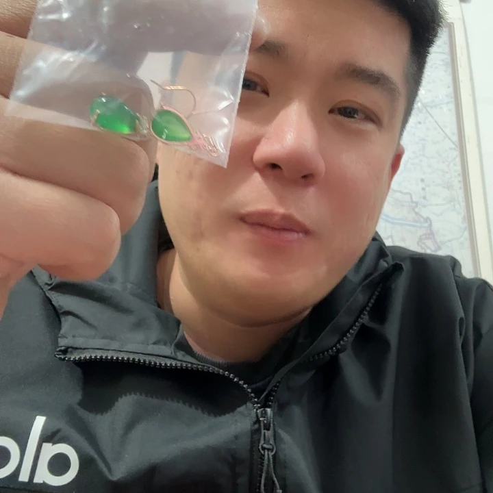 玛瑙/玉髓银S925镀金镶嵌耳钉