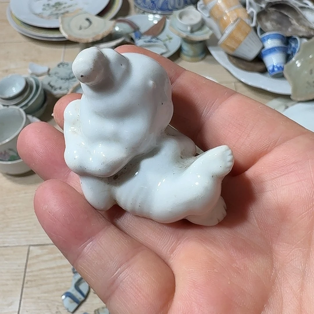 D***e瓷片瓷片标本，顺丰包邮牛