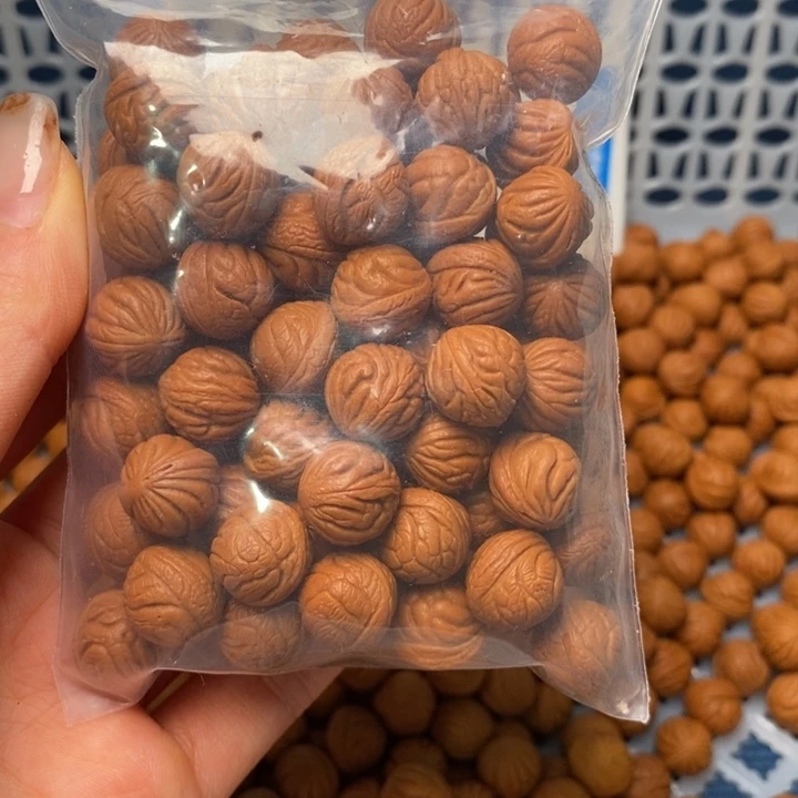 桃核手串20颗12尺寸左右野生红锦鲤打好底带绳（不打孔）