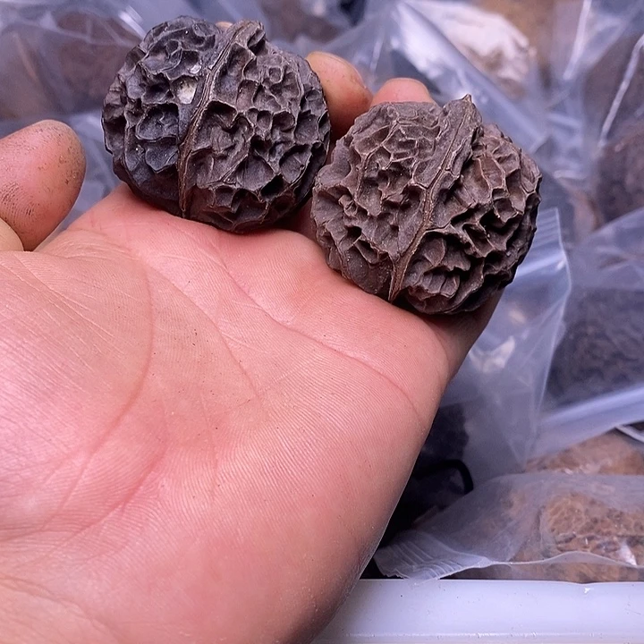 文玩核桃把件   185
