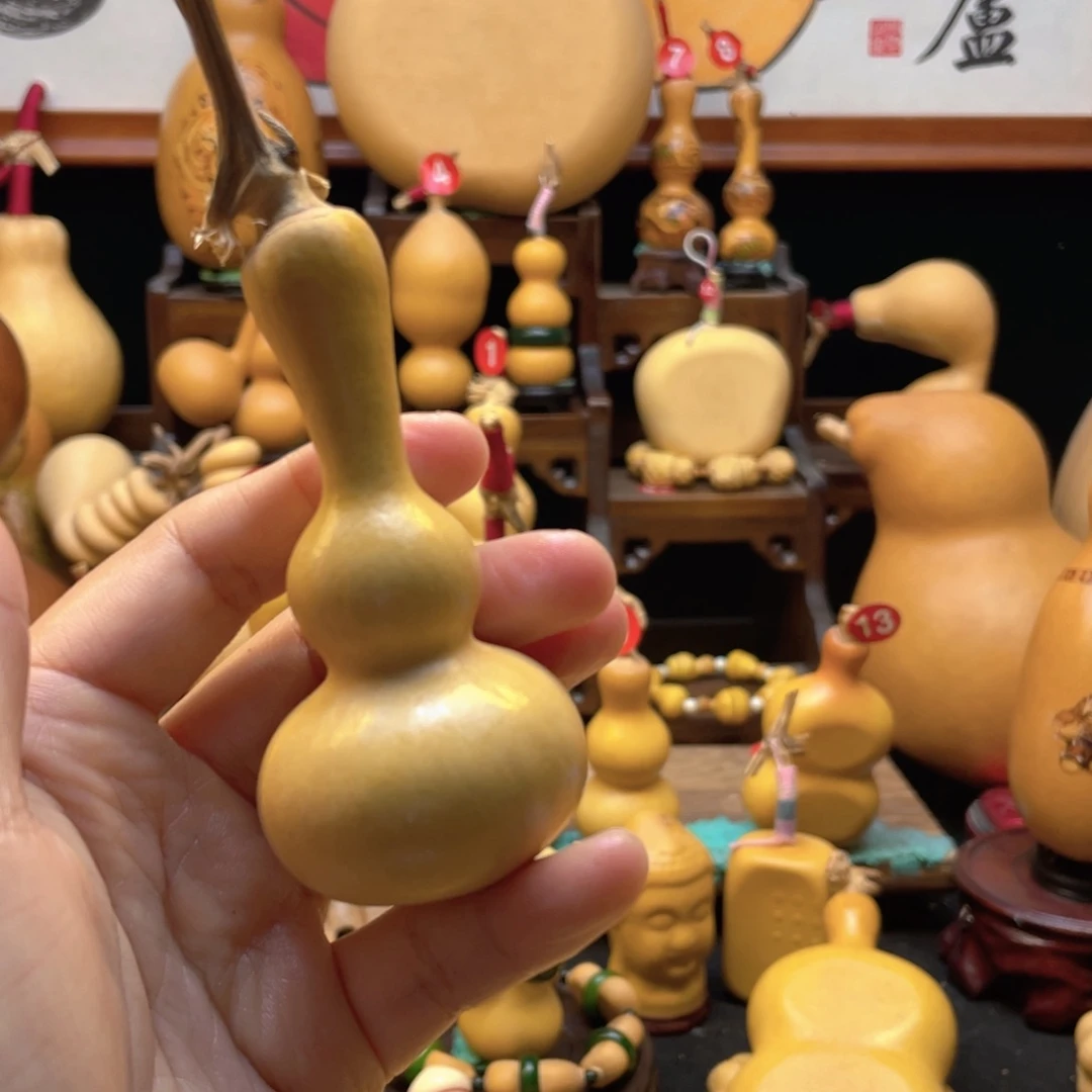 S*y大自然的秘密第十一节课