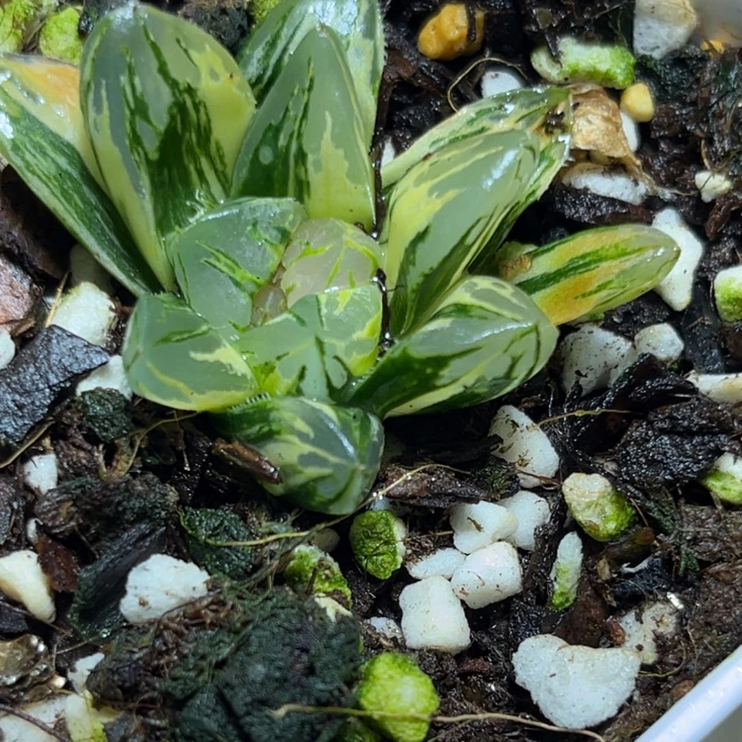 恭喜发财大吉大利0102