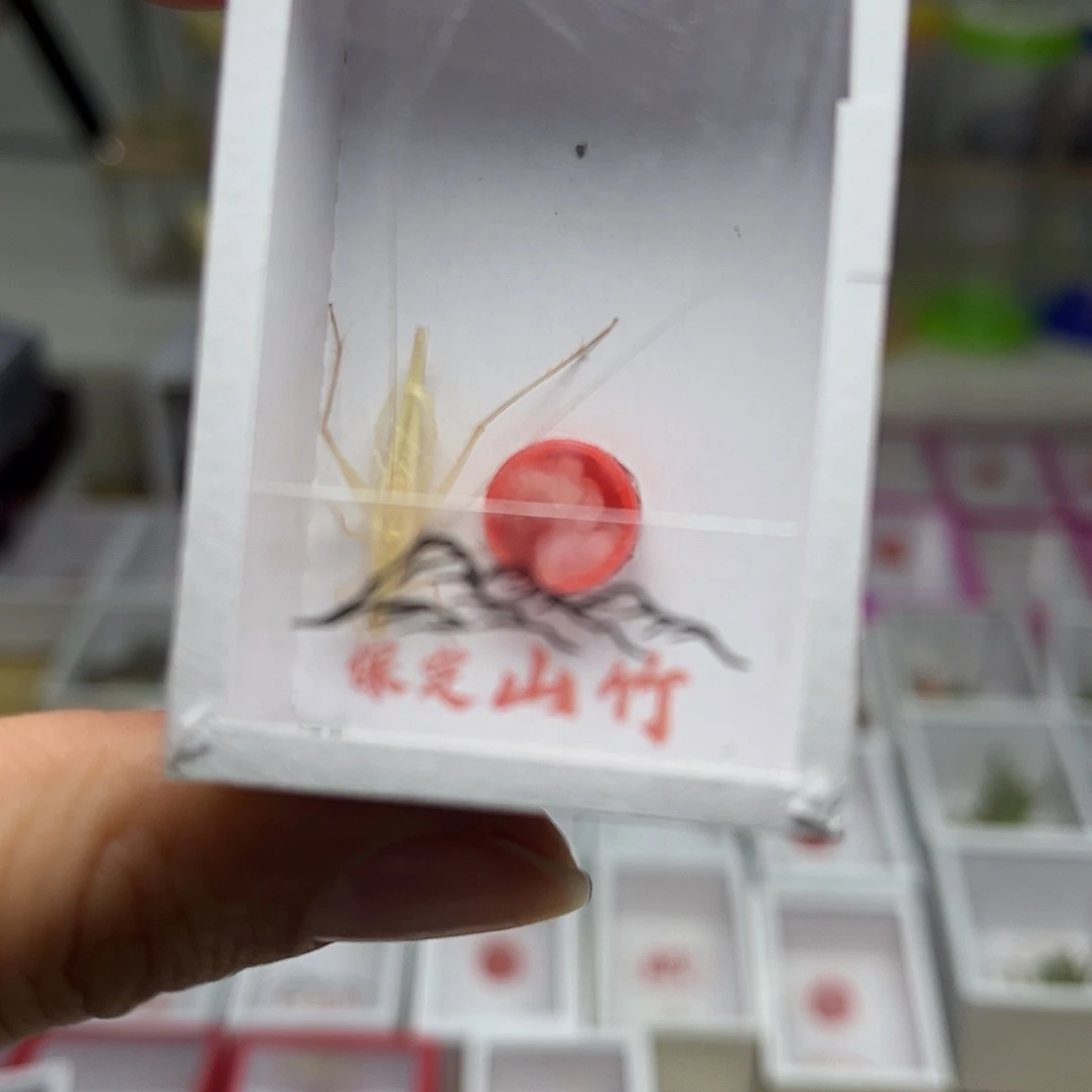 蚂蚁工坊山竹。