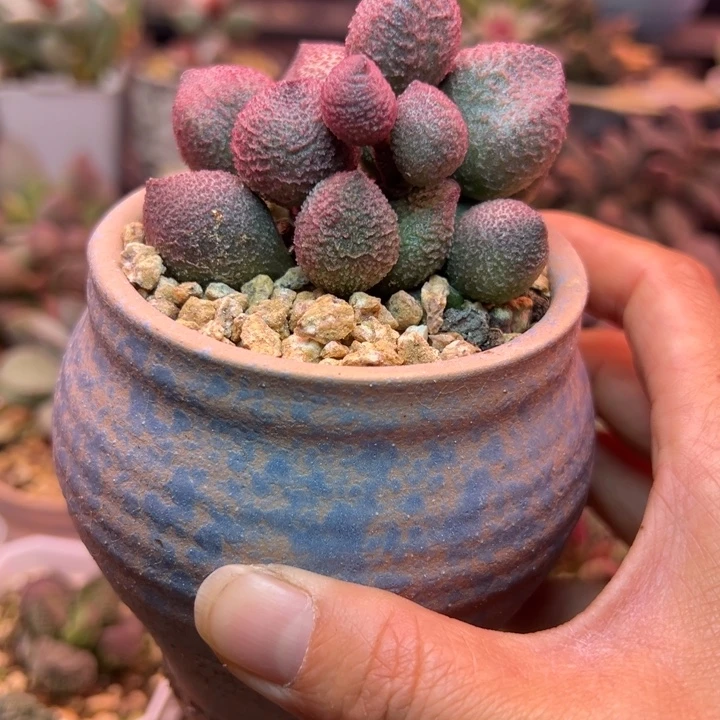 一物一拍，感谢支持