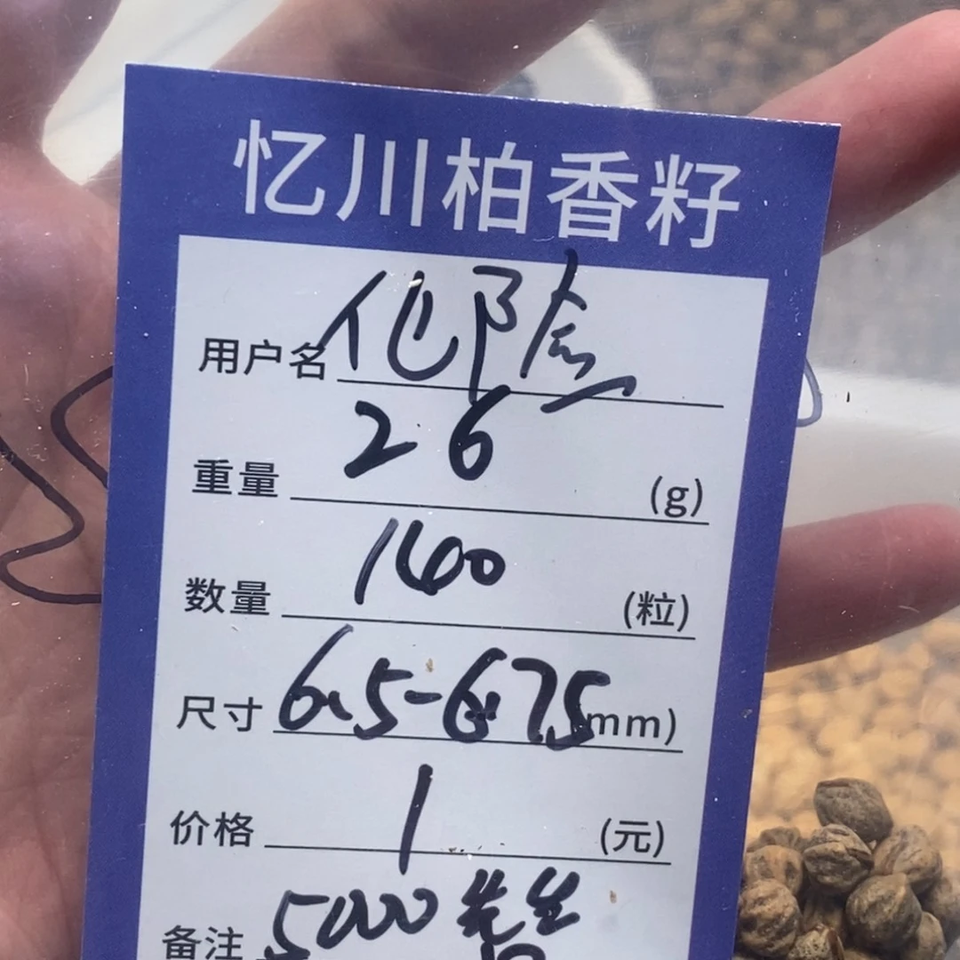 柏香籽/百香籽吊坠化**怡