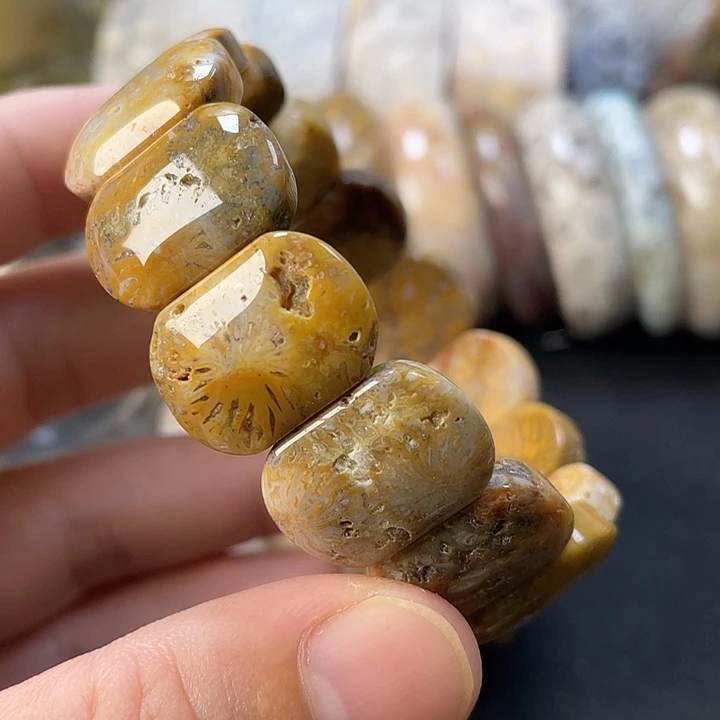 未镶嵌手链硅化珊瑚（珊瑚玉）