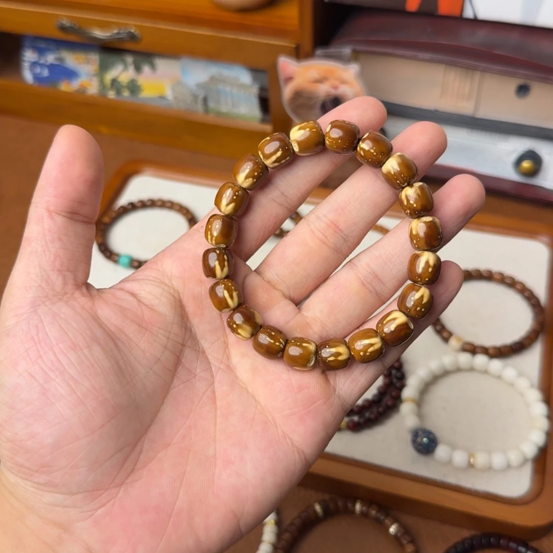 手串紫金鼠多样性
