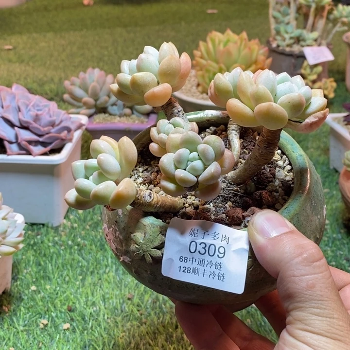 0309啊啊啊啊啊啊啊啊啊