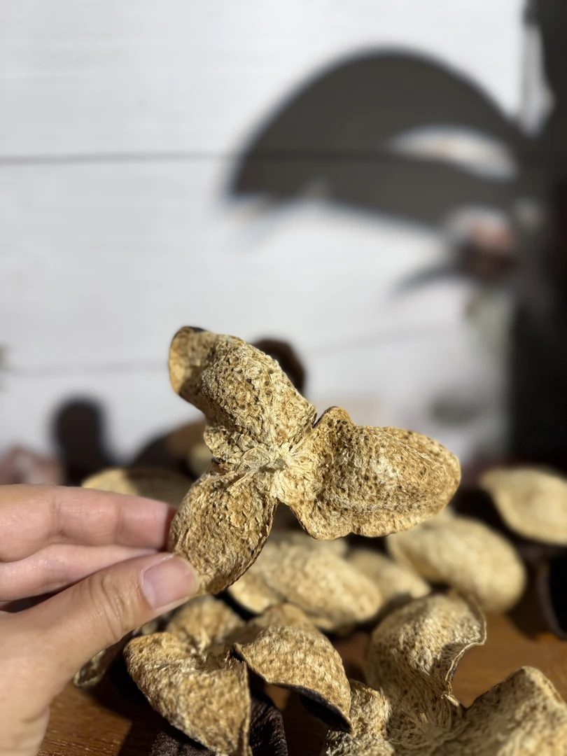 正宗新会生晒陈皮 2021年梅江原枝二红皮  自然晾晒