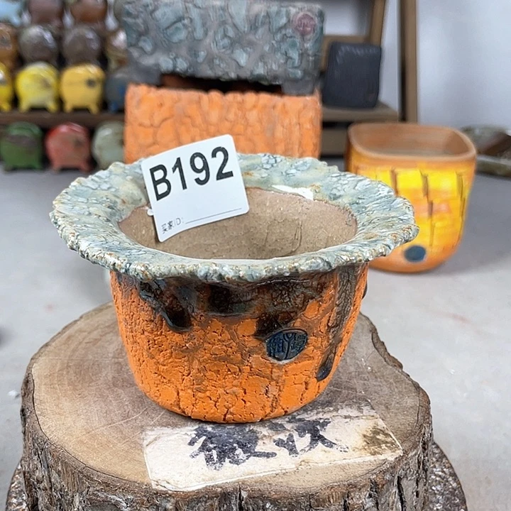 紫砂花盆开播福利 陶瓷花盆