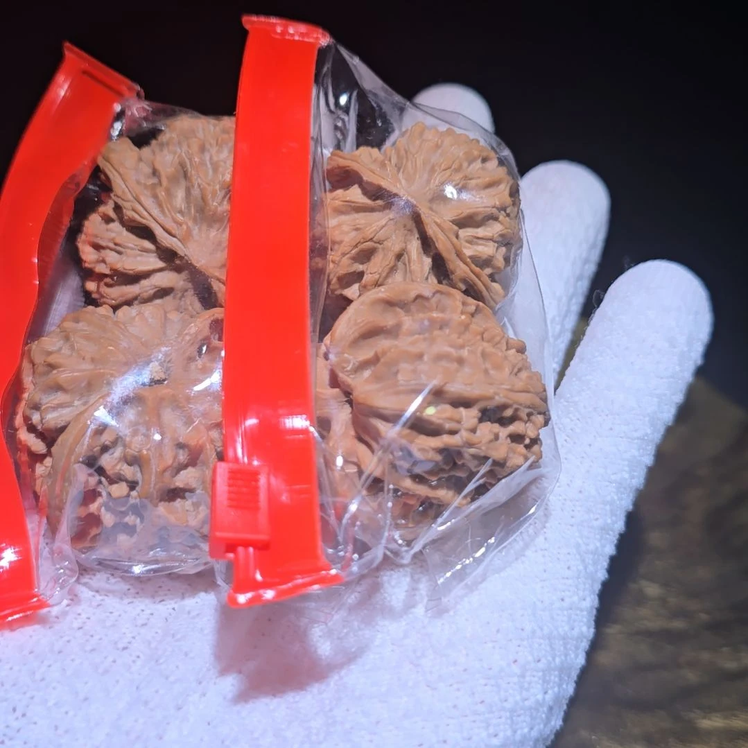 核桃哈哈哈哈哈哈哈哈