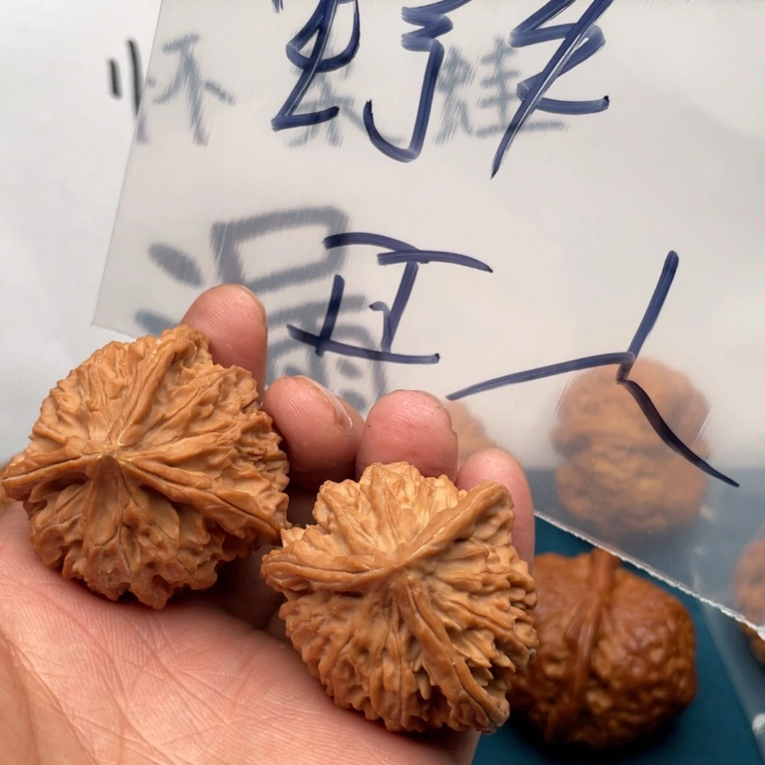 橄榄核手串/手链W68448648646648