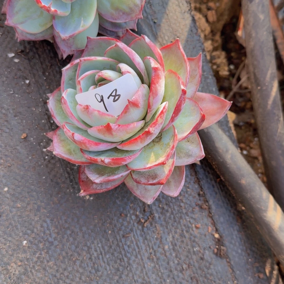 98