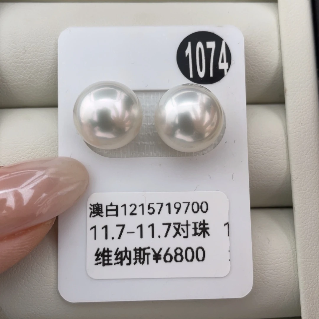 定制海水珍珠未镶嵌耳饰澳白维纳斯11.7-11.7mm