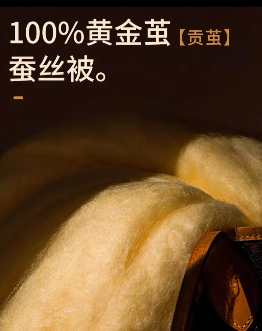 佰惠思甄选萨洛蒙100%蚕丝【春秋被】