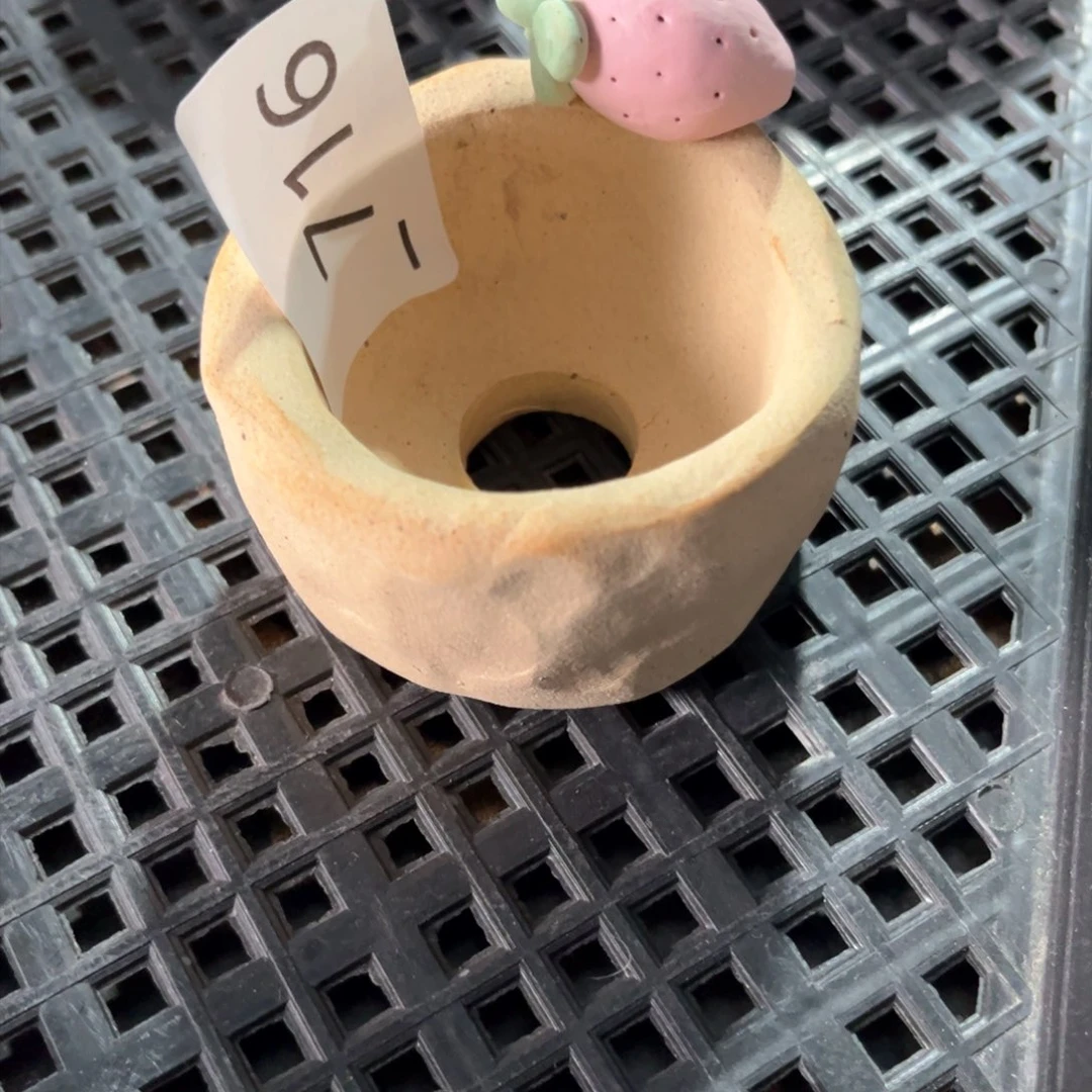 红陶胖****猫716花盆1个