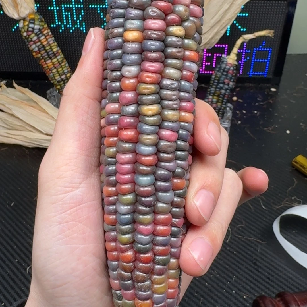 柏香籽/百香籽吊坠?*合