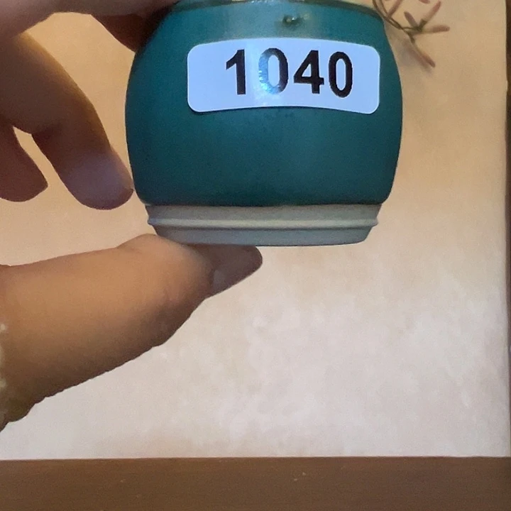 朱***婍缸104000000000000000