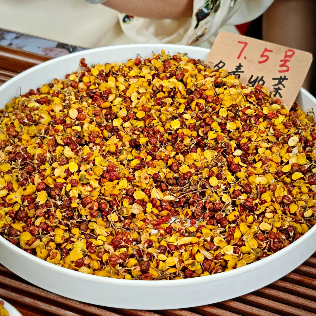 玲珑红果 东方睡果 冬青收茶