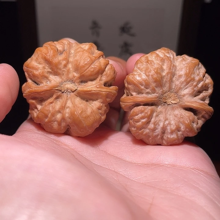 M***c核桃手串/手链蛤蟆头核桃