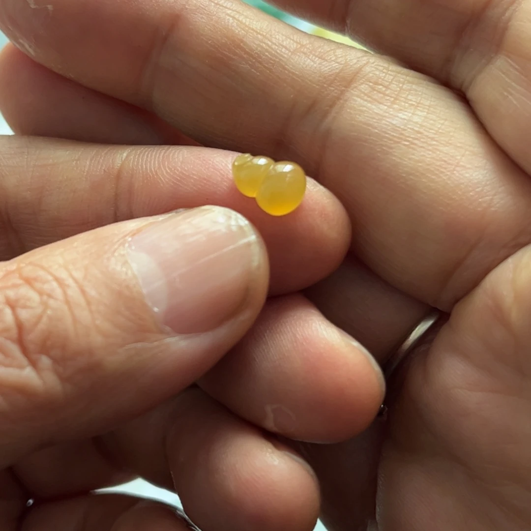 定制翡翠未镶嵌葫芦