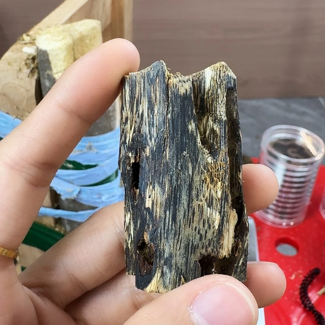 香料绿奇楠虫漏白棋16克