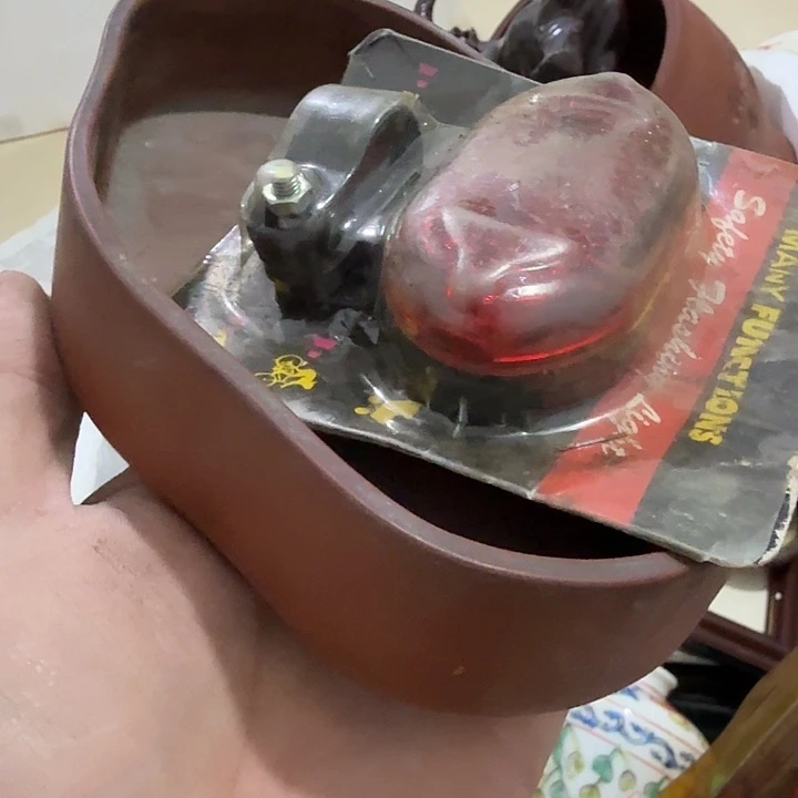 老***乔扇子 吃gvvvvvvvvvvv把v不宝贝