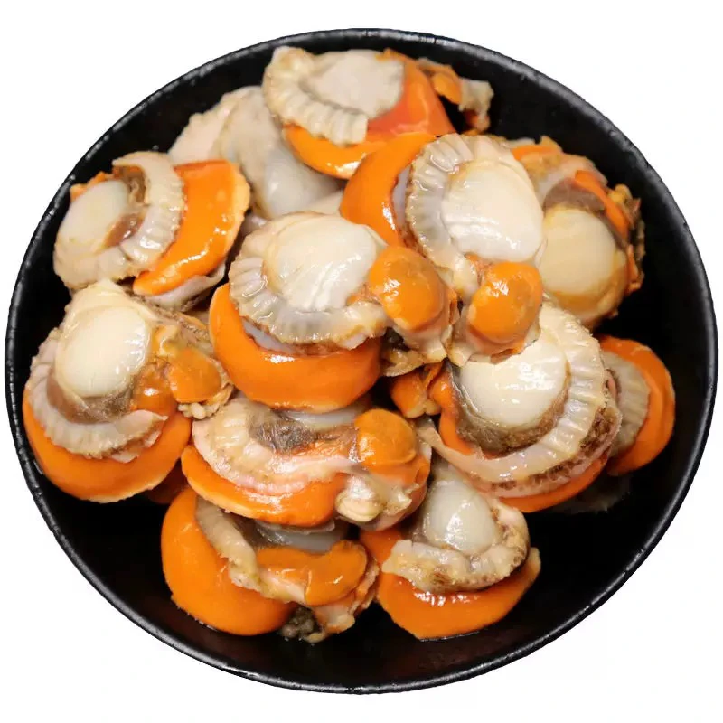 【新疆包邮】扇贝小鲜肉