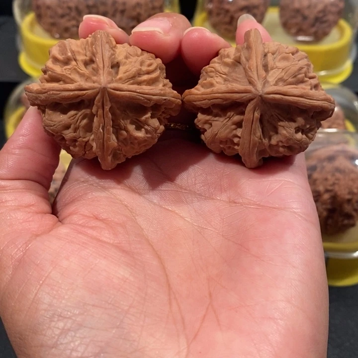 核桃文玩核桃45尺玉玺四棱
