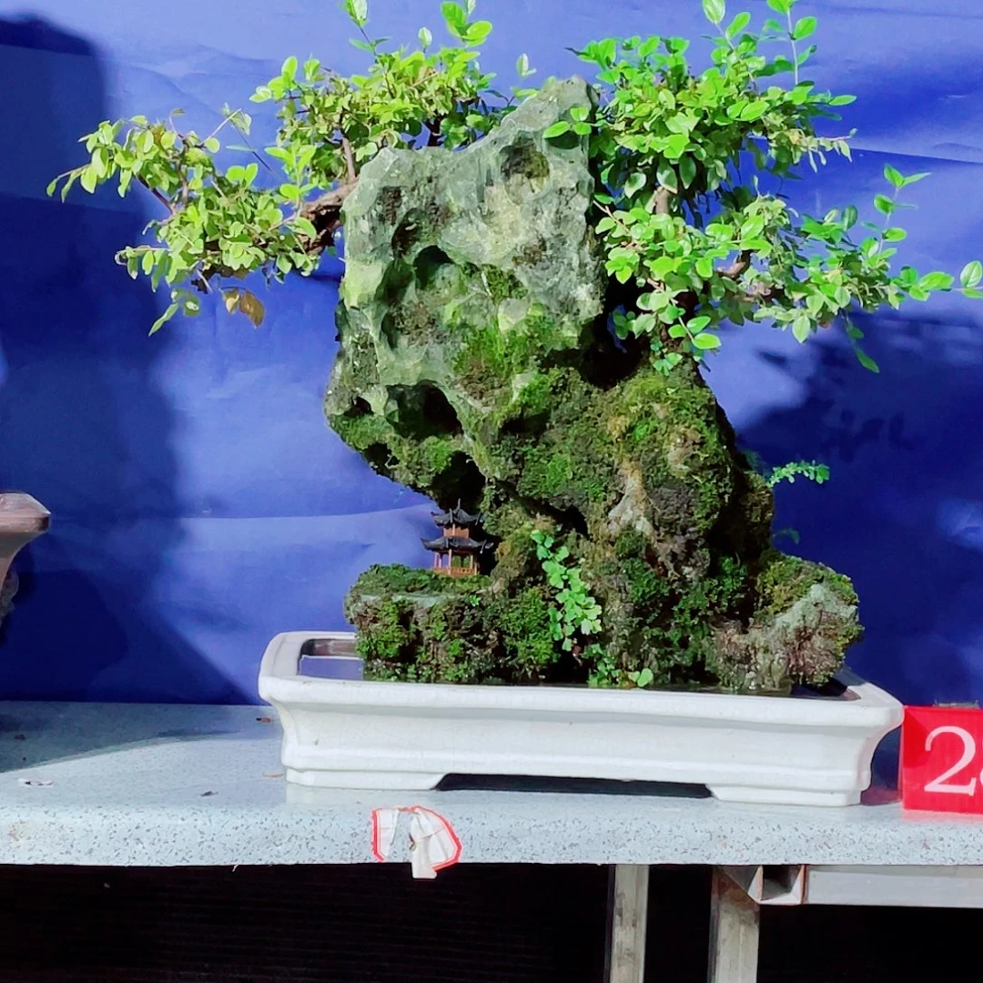 追***梦完全开放新品上架一枚噢亲一