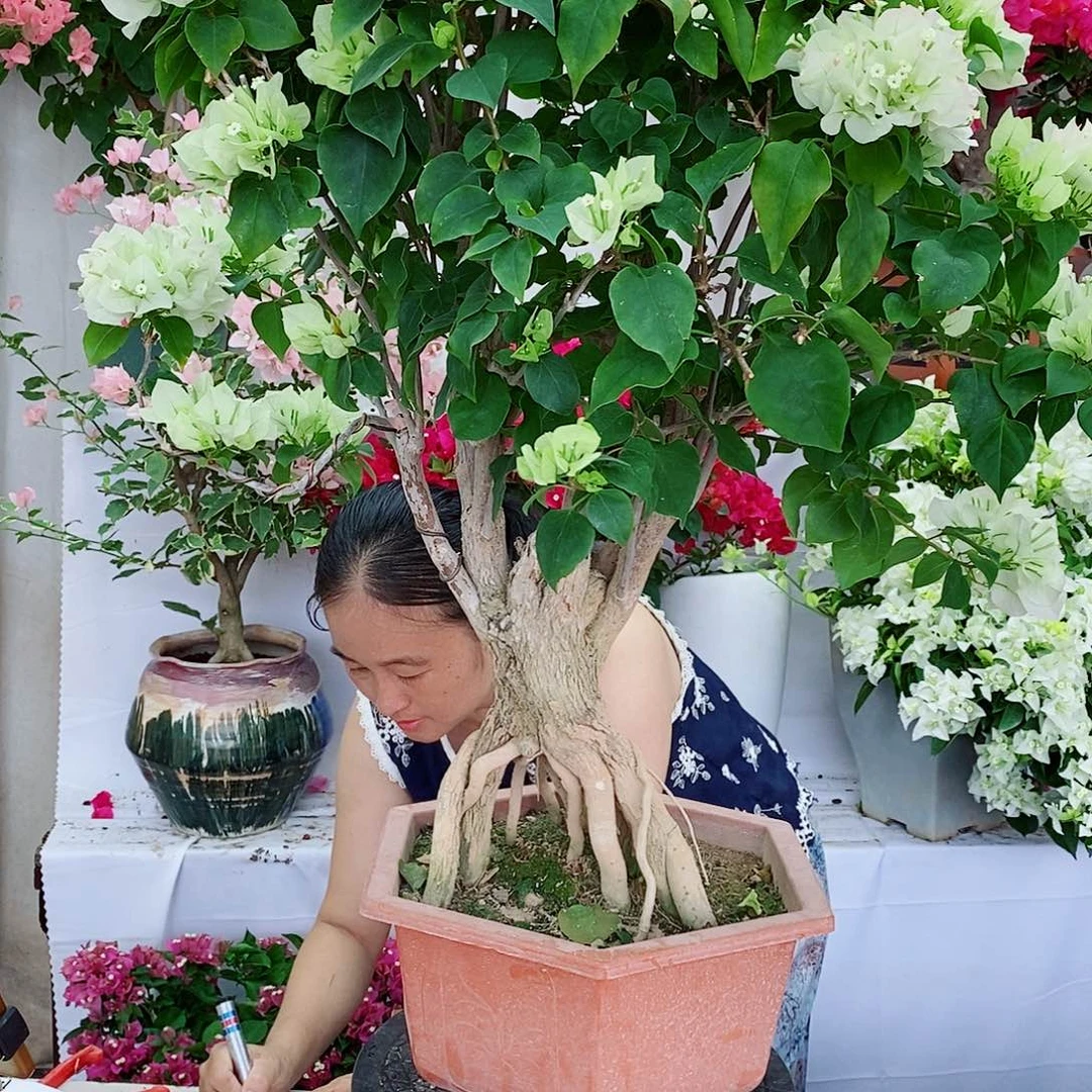 完全开放我们一起加油