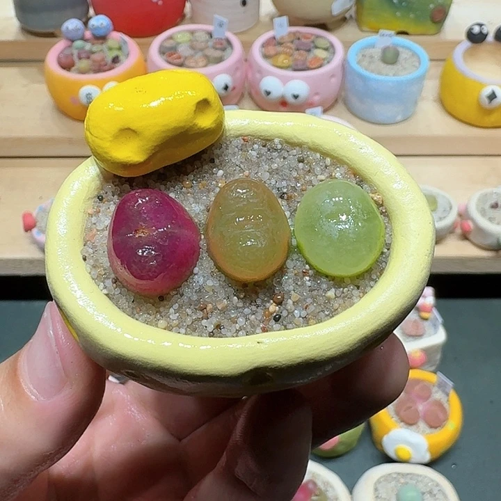 红陶蘑菇569毛汉尼