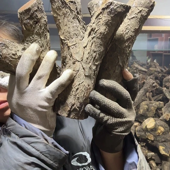 香榧木二**说火琉璃的毛料摆件