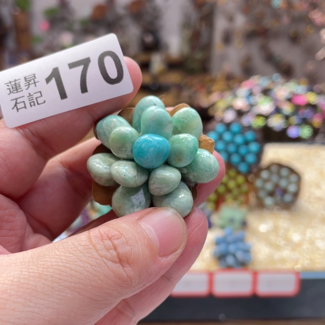 核桃木/黑胡桃（胡桃木）可**鸭170