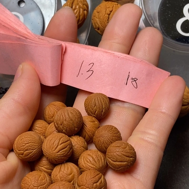 吊坠桃核陕西秦岭山桃核