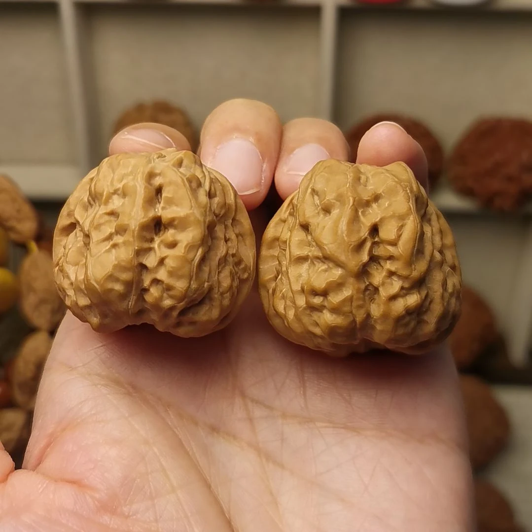 36尺蛤蟆头 微磕尖福利不退换