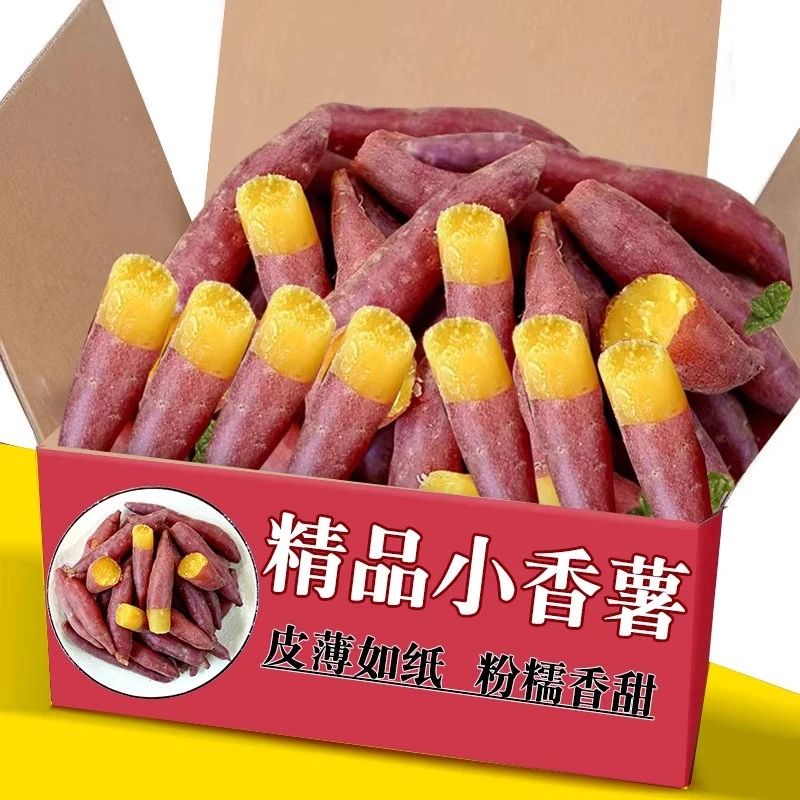 正宗临安天目山小香薯3/5斤新鲜沙地红薯板栗番薯地瓜手指薯包邮