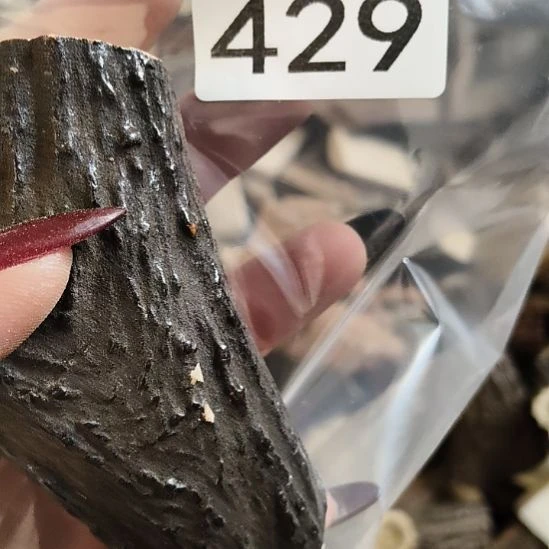 大***窑鹿角鹿角鹿角鹿角鹿角鹿角