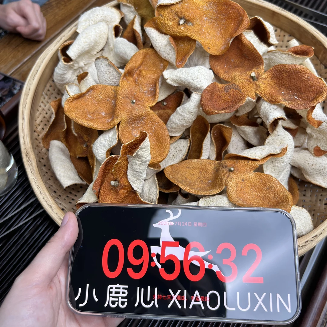 2024新会梅江圈枝大红新皮 ①小鹿收茶  新会新皮 7月24