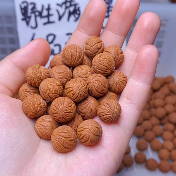 手串桃核野生满天星 12mm左右 20颗 （不打孔）