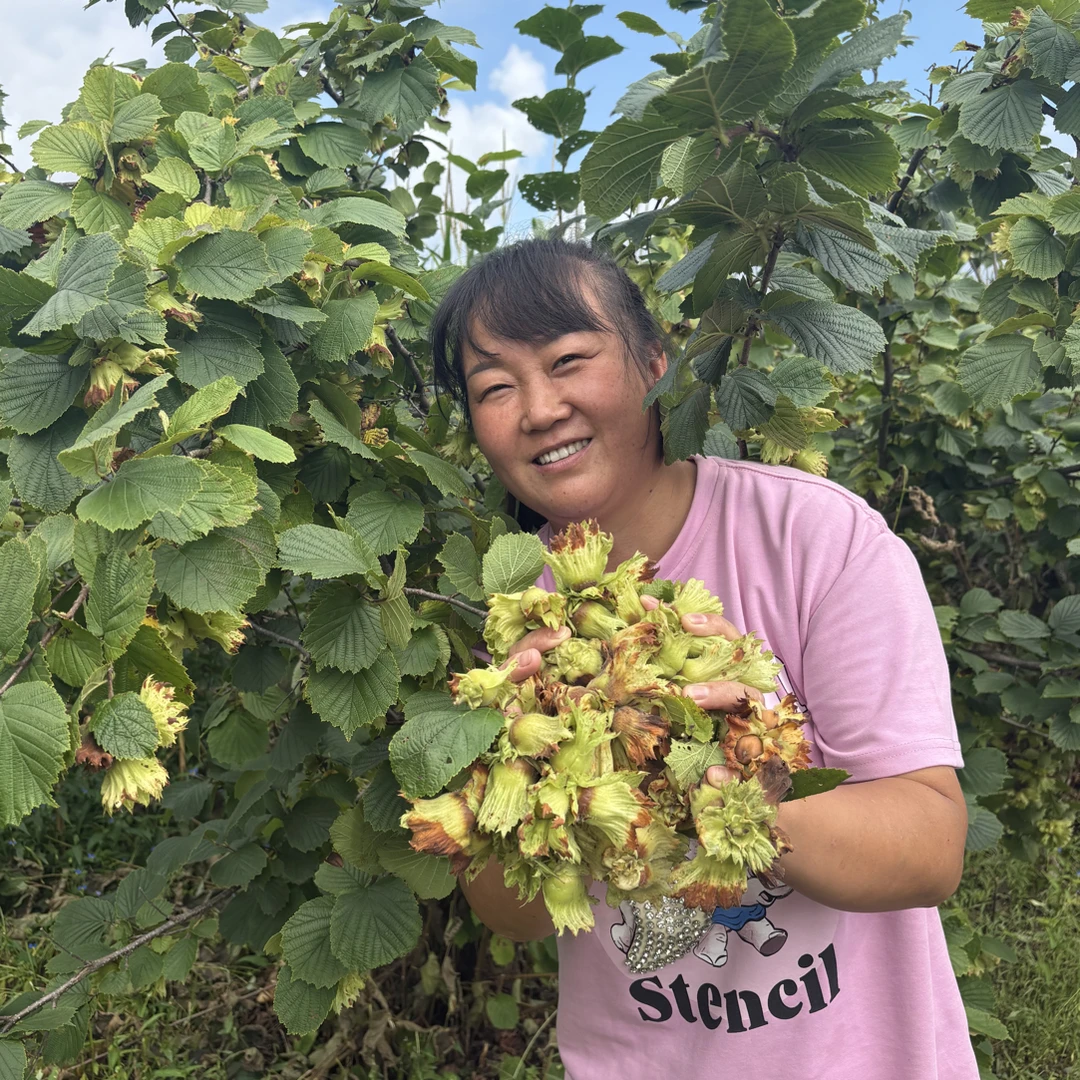 2025东北新鲜水仁大榛子达维玉坠