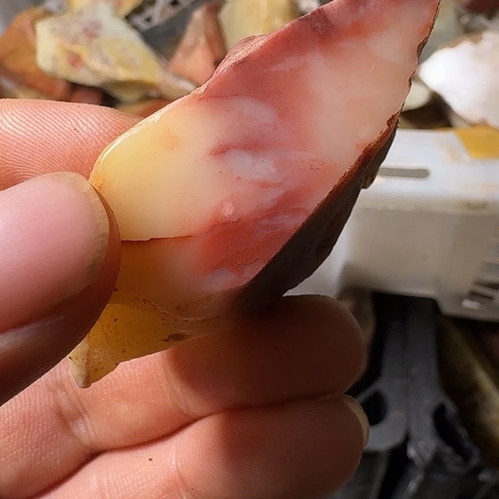 天***堂寿山石寿山石的种类