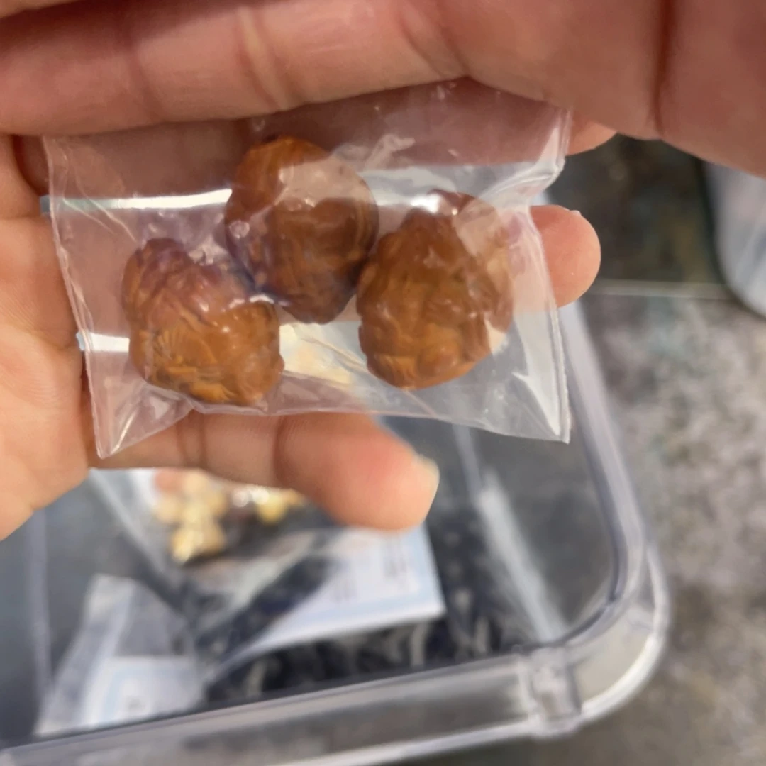 白玉菩提吊坠z 16mm/3颗雕刻锅底