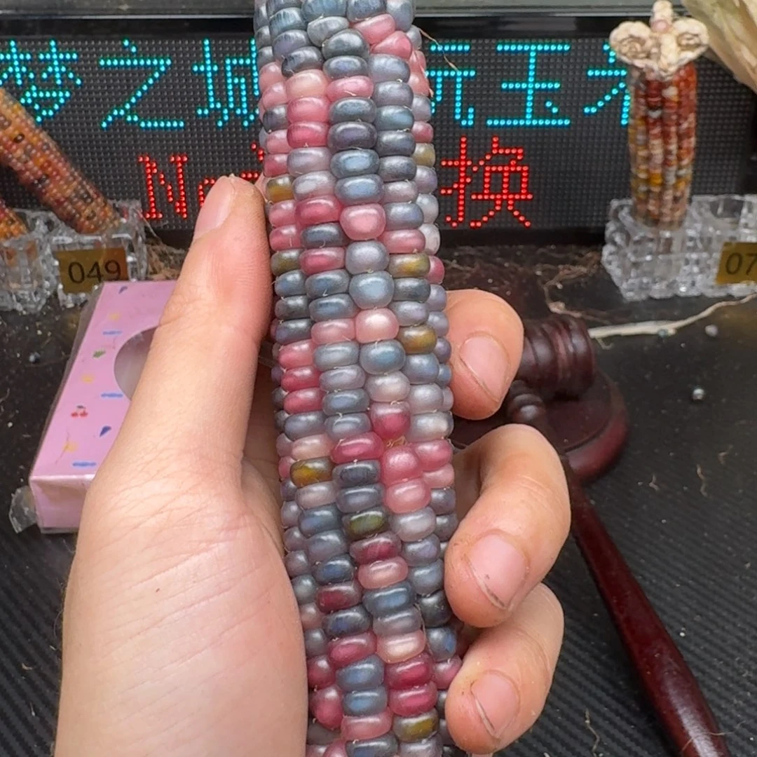 柏香籽/百香籽吊坠美*