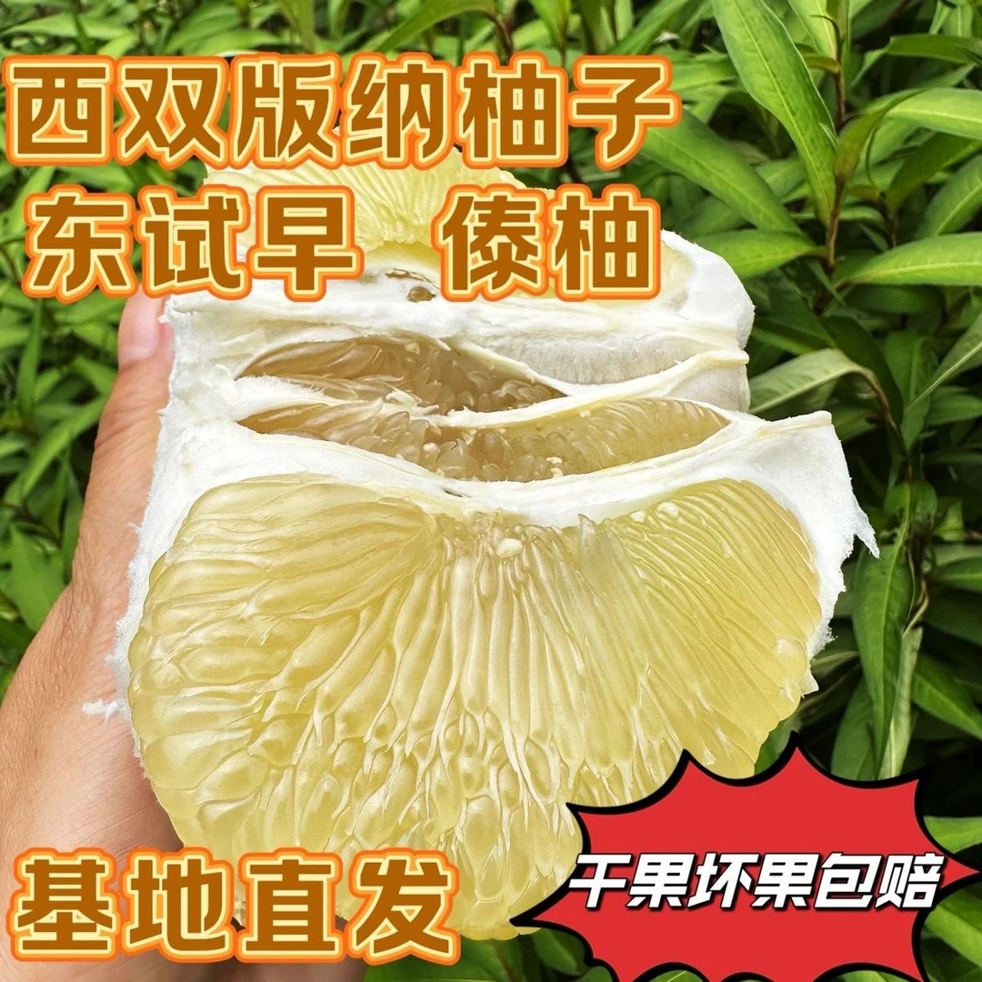 西双版纳当季东试早傣柚基地直发