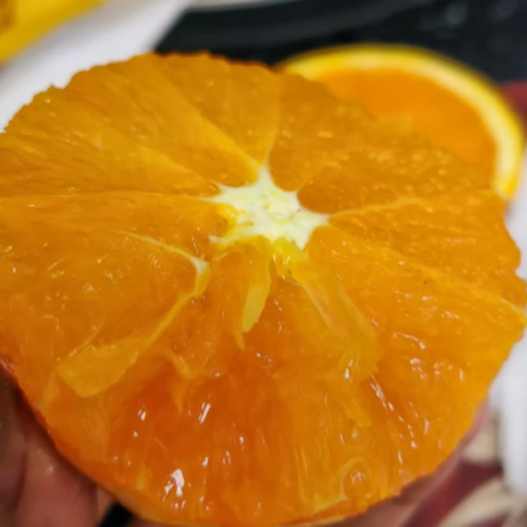 布丁橙 好吃甜 爆汁