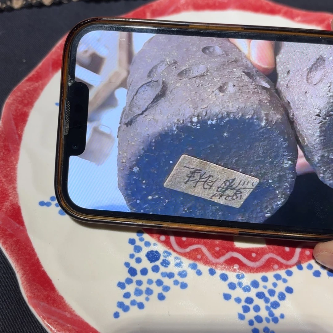 瓷片禧*年可爱的鸭鸭鸭鸭鸭鸭