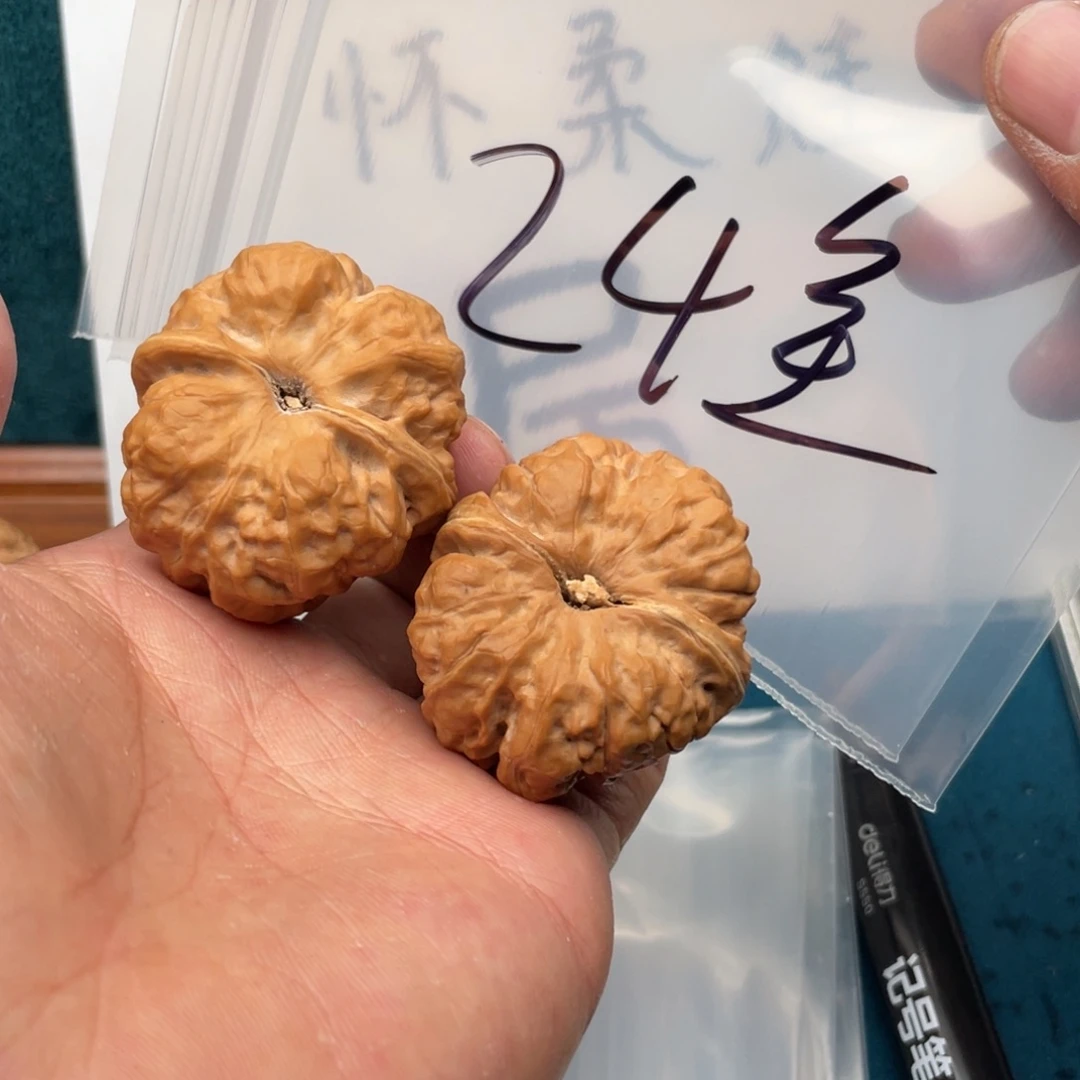 核桃手串/手链W368368833638