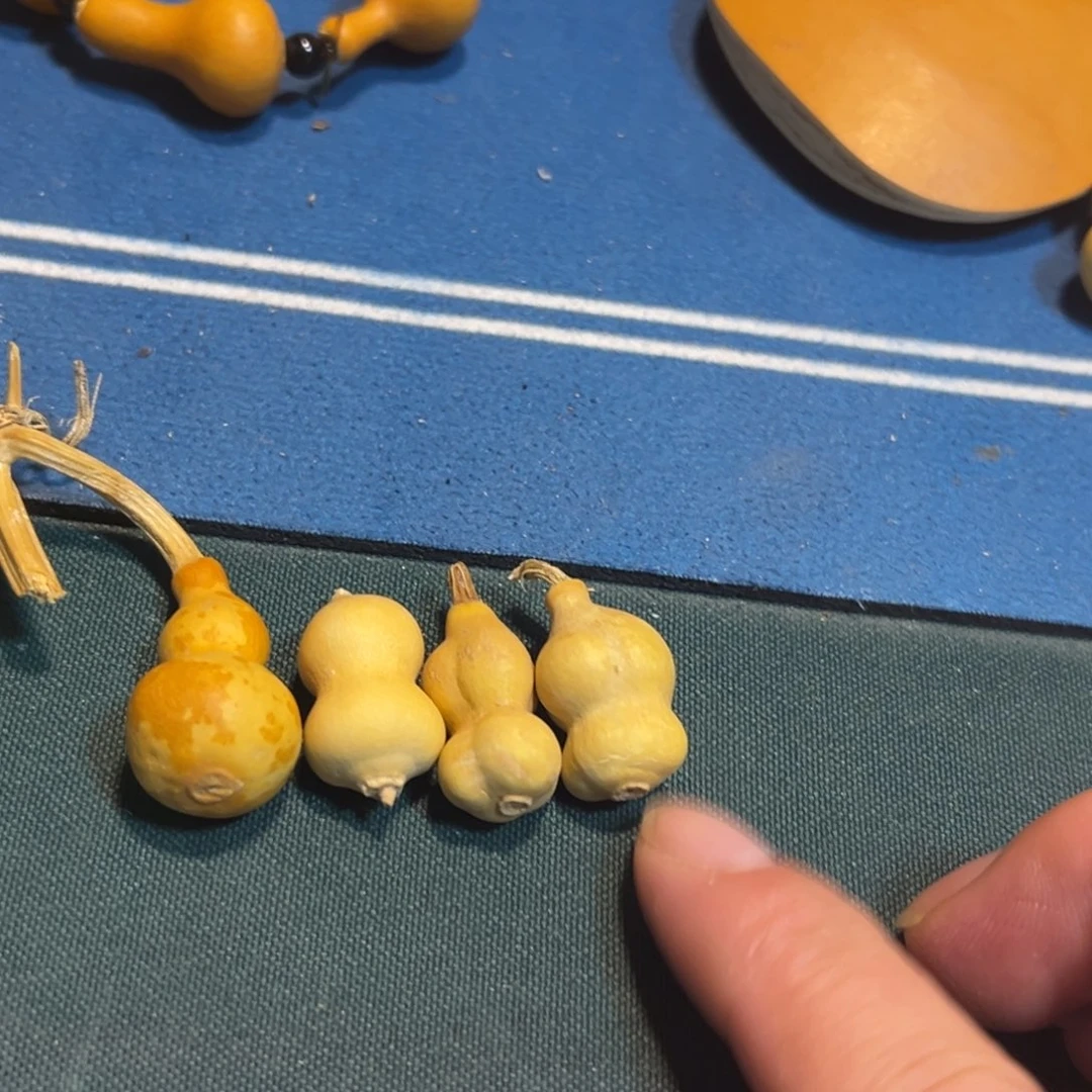芝****一口KTV突突突突突突可可了